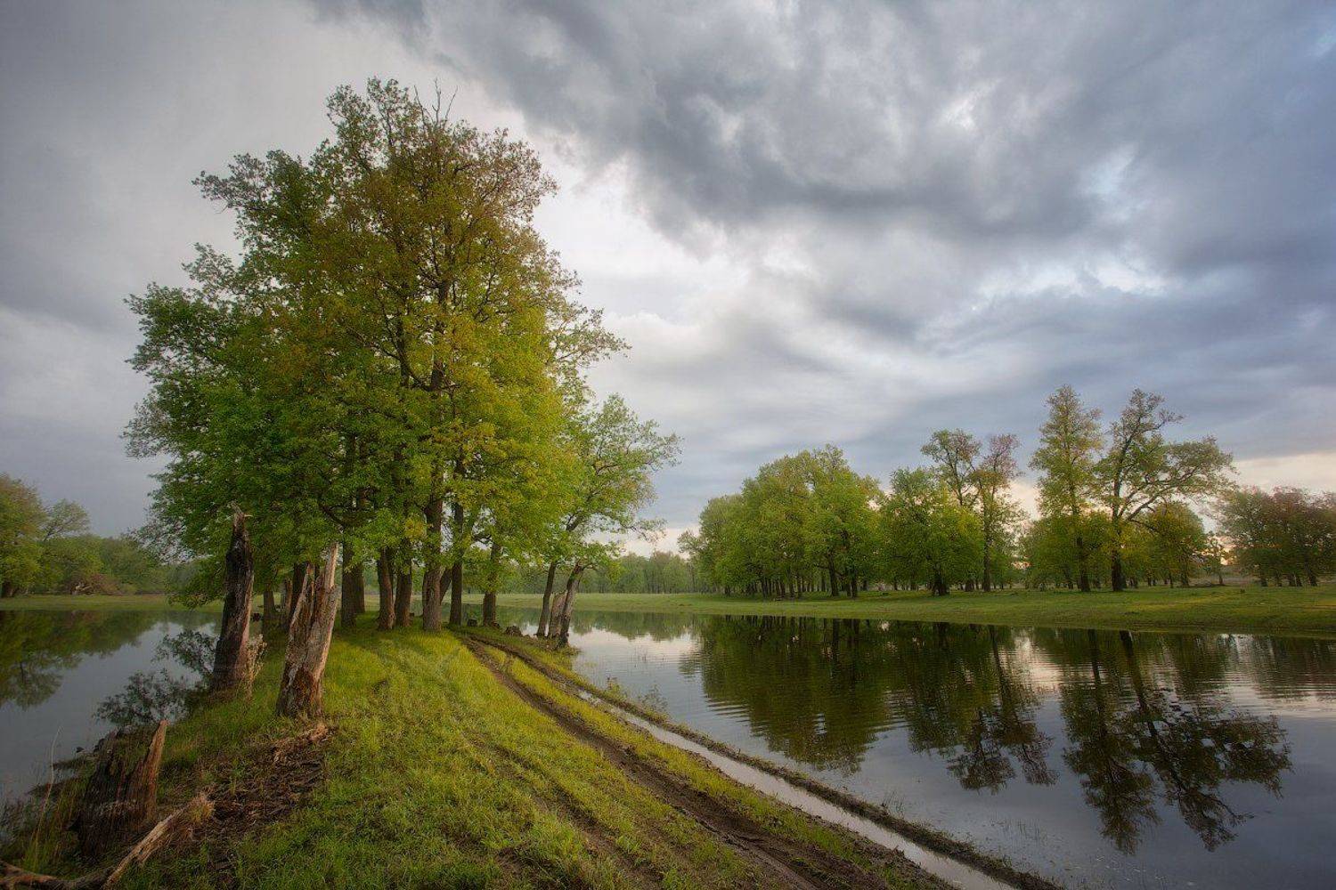 природа утро весна, Михаил Корнилов