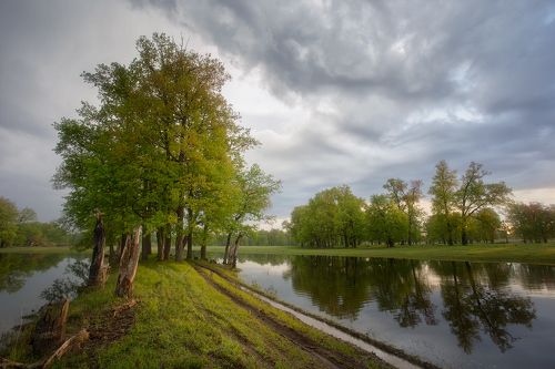 Перед дождём
