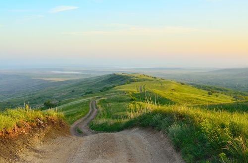 Утро в степи