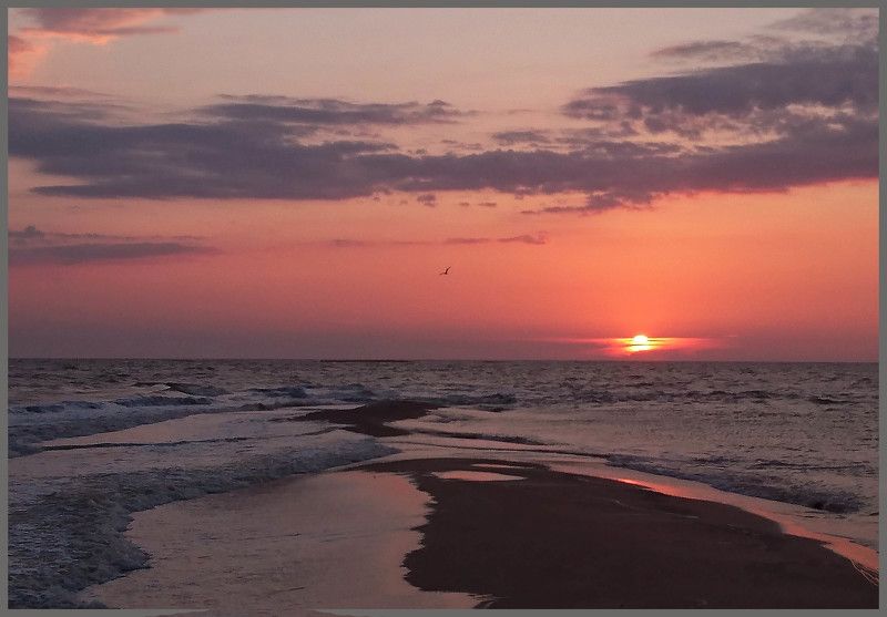 Должанская коса (моб) фото превью