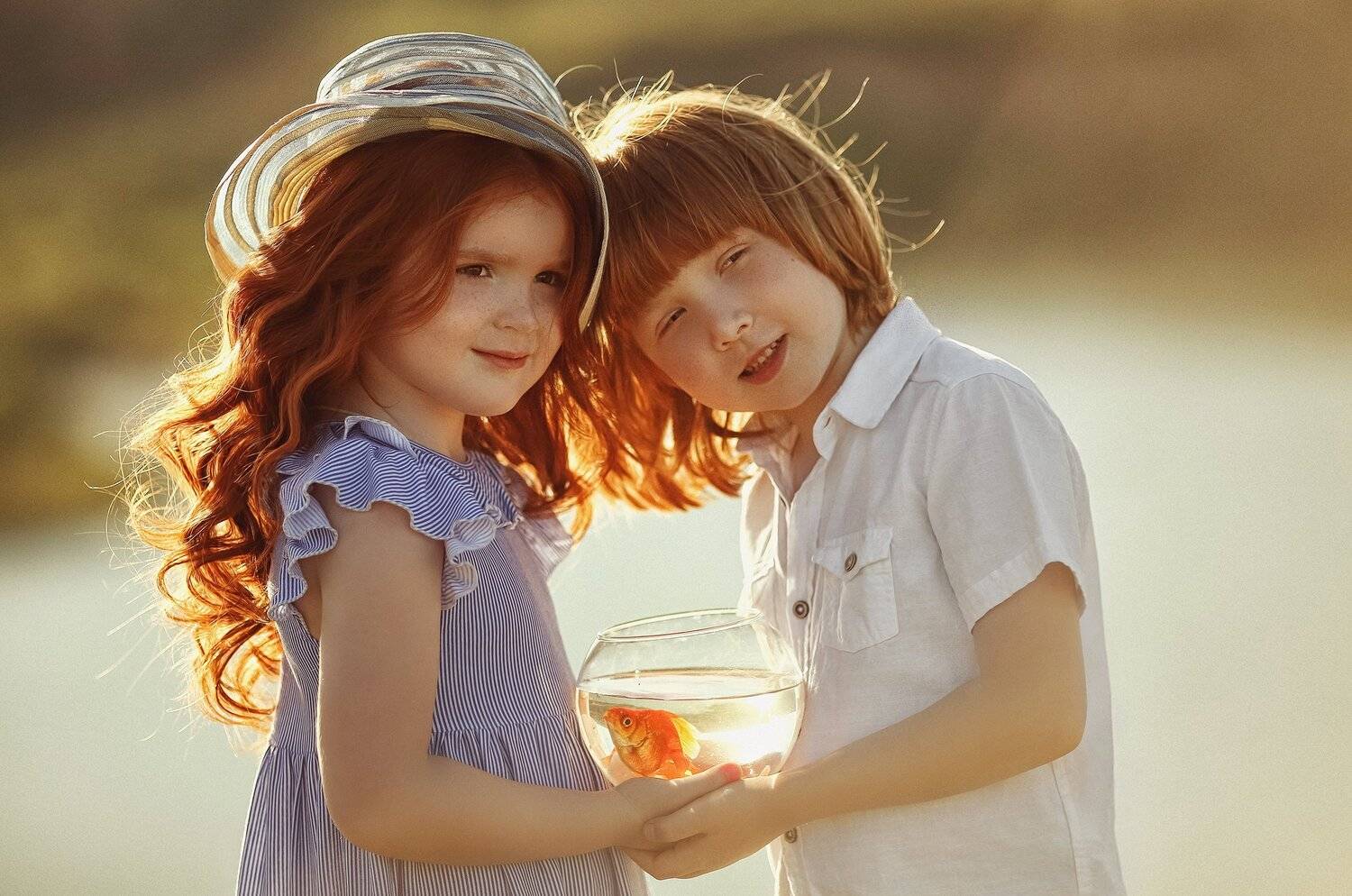 рыжий золотая рыбка закат природа солнце, valerie