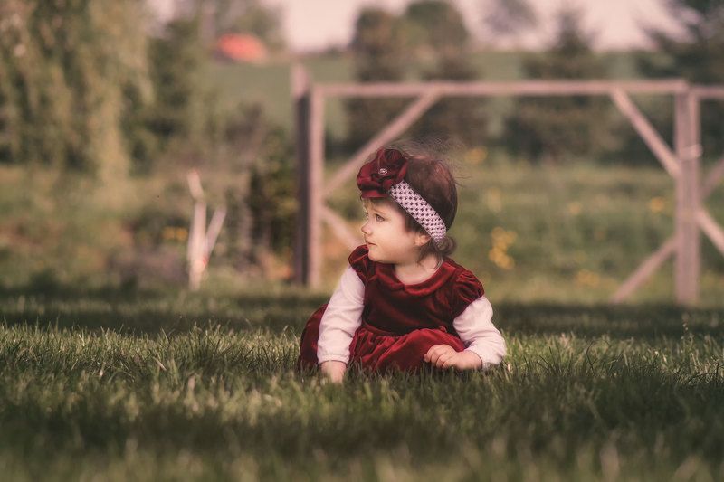 On the meadow фото превью