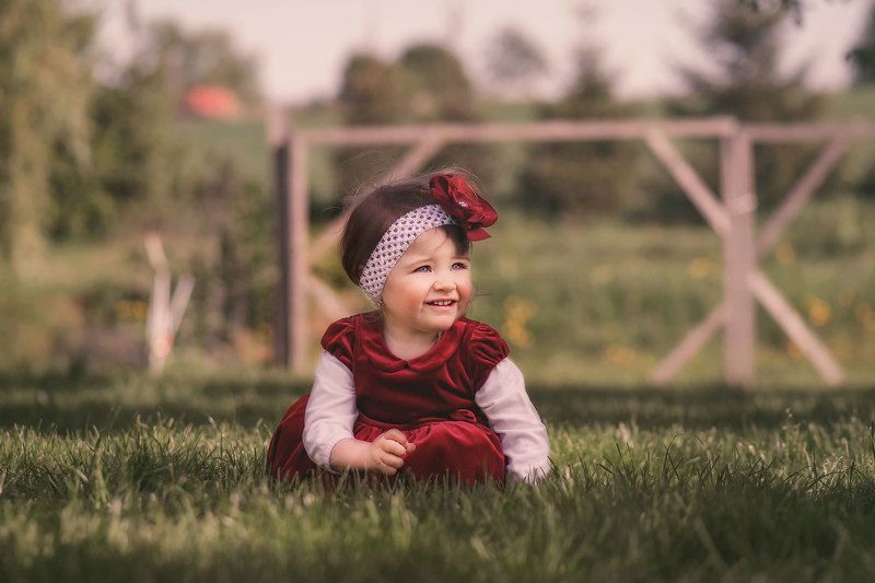 On the meadow фото превью