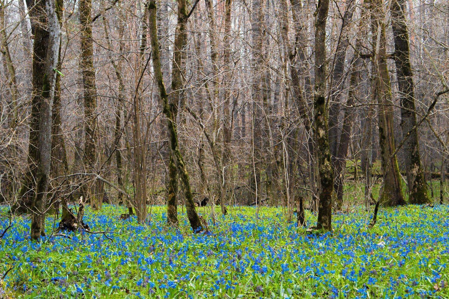 , Руслан Востриков