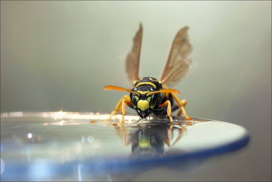 , Сергей Фудиненко