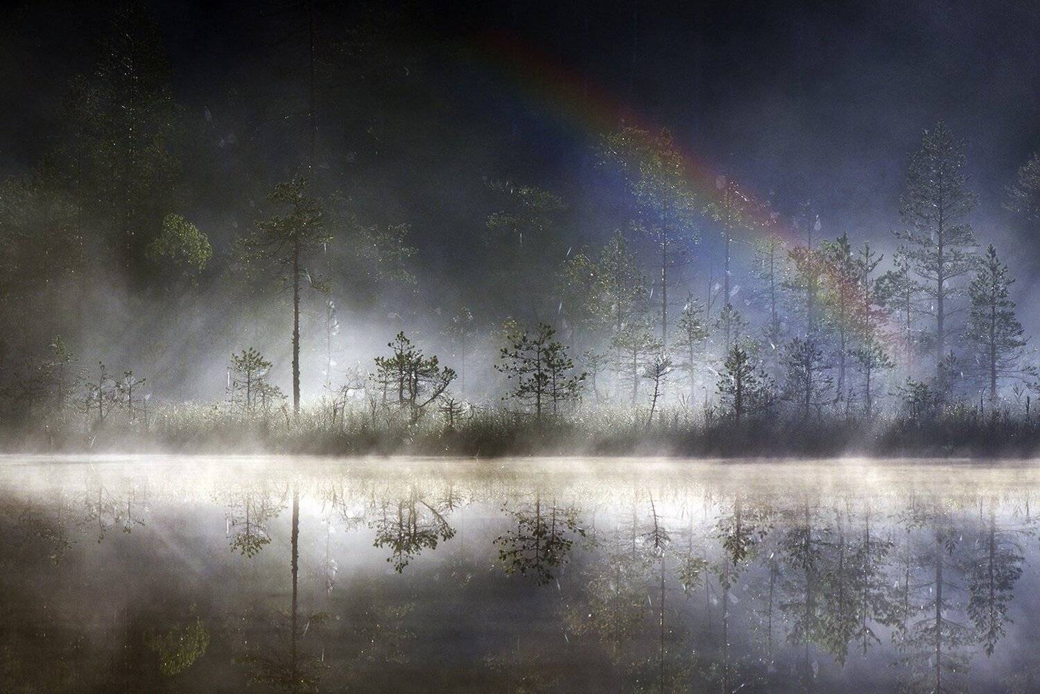 карелия, Виктор