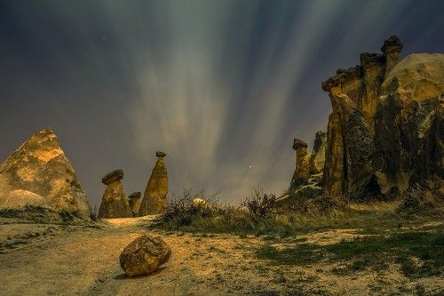 Ночной консилиум