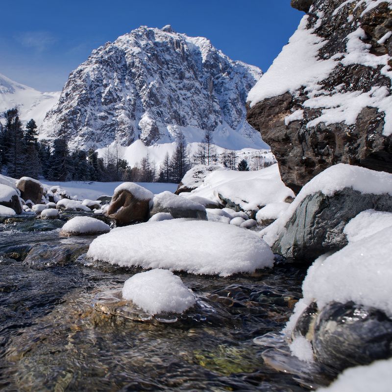 Весна, Актру, река, снег, горы Утро после снегопада фото превью
