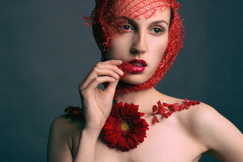 Red Daisy фото превью