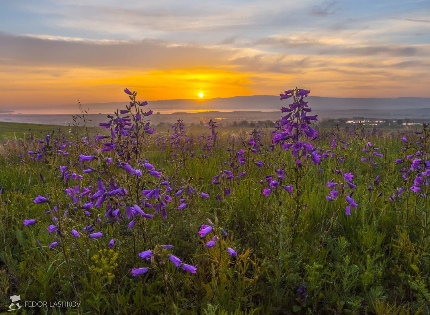 pentax645z, pentaxrussia, pentax, ставропольский край,  путешествие, фотоальбом, цветы, природа, рассвет, облака, колокольчик, луг, степь, солнце, Лашков Фёдор