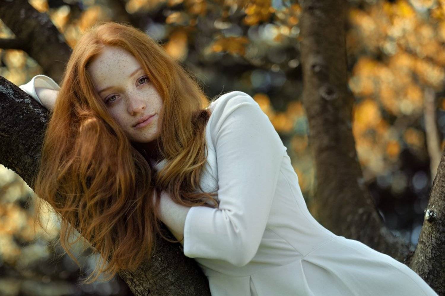 , Andrzej Car