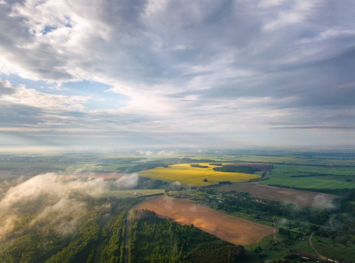 беларусь, весна, май, туман, утро, Вейзе Максим