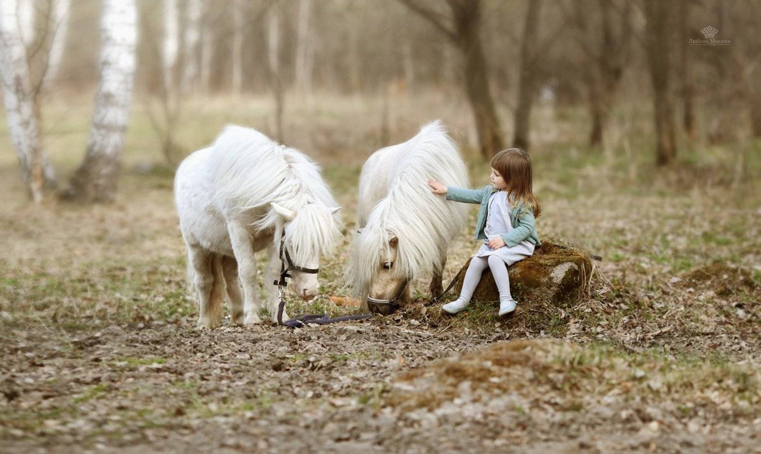 , Любовь Махиня