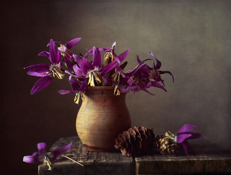 Таежные цветы фото превью