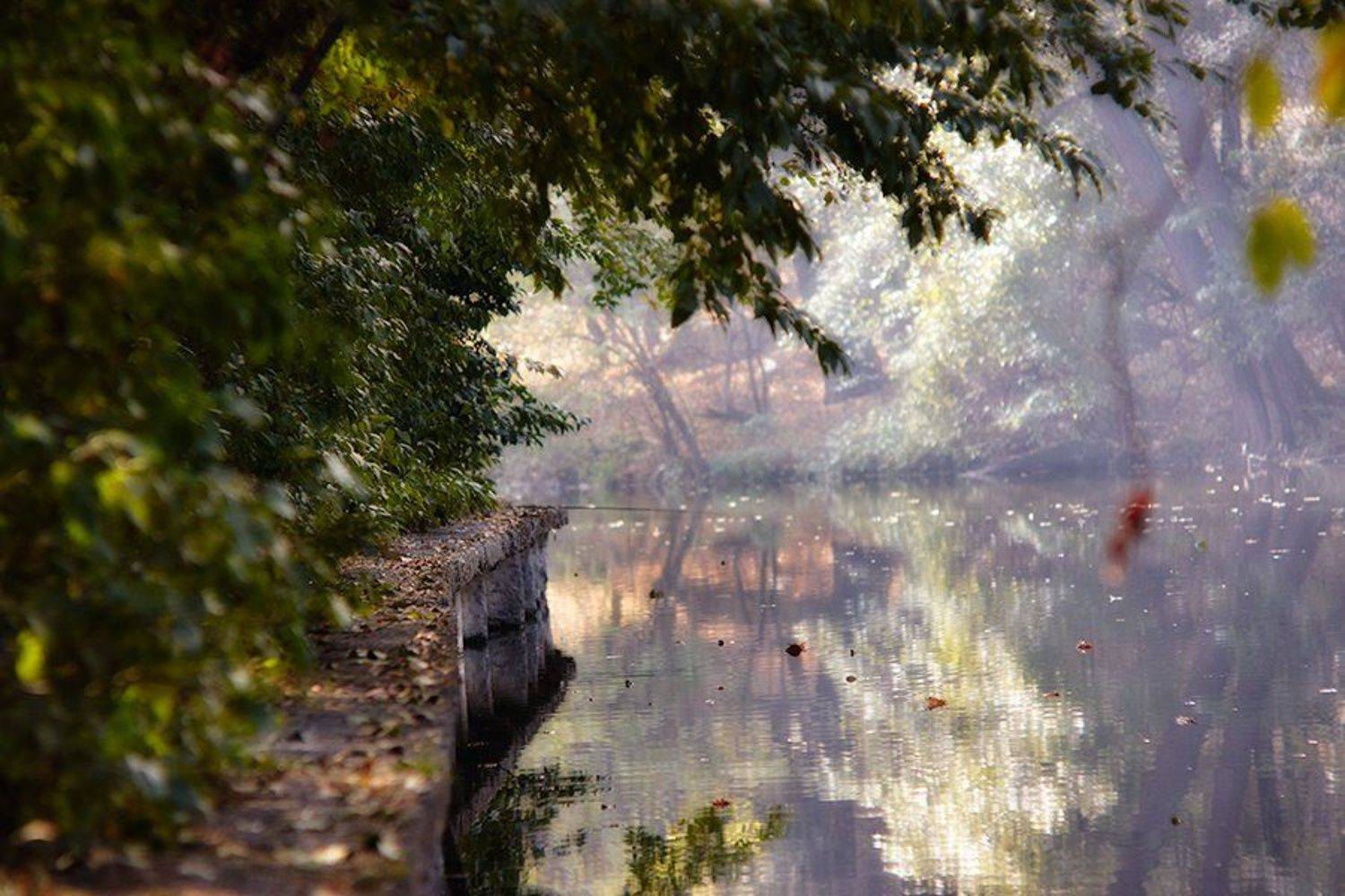 , александр