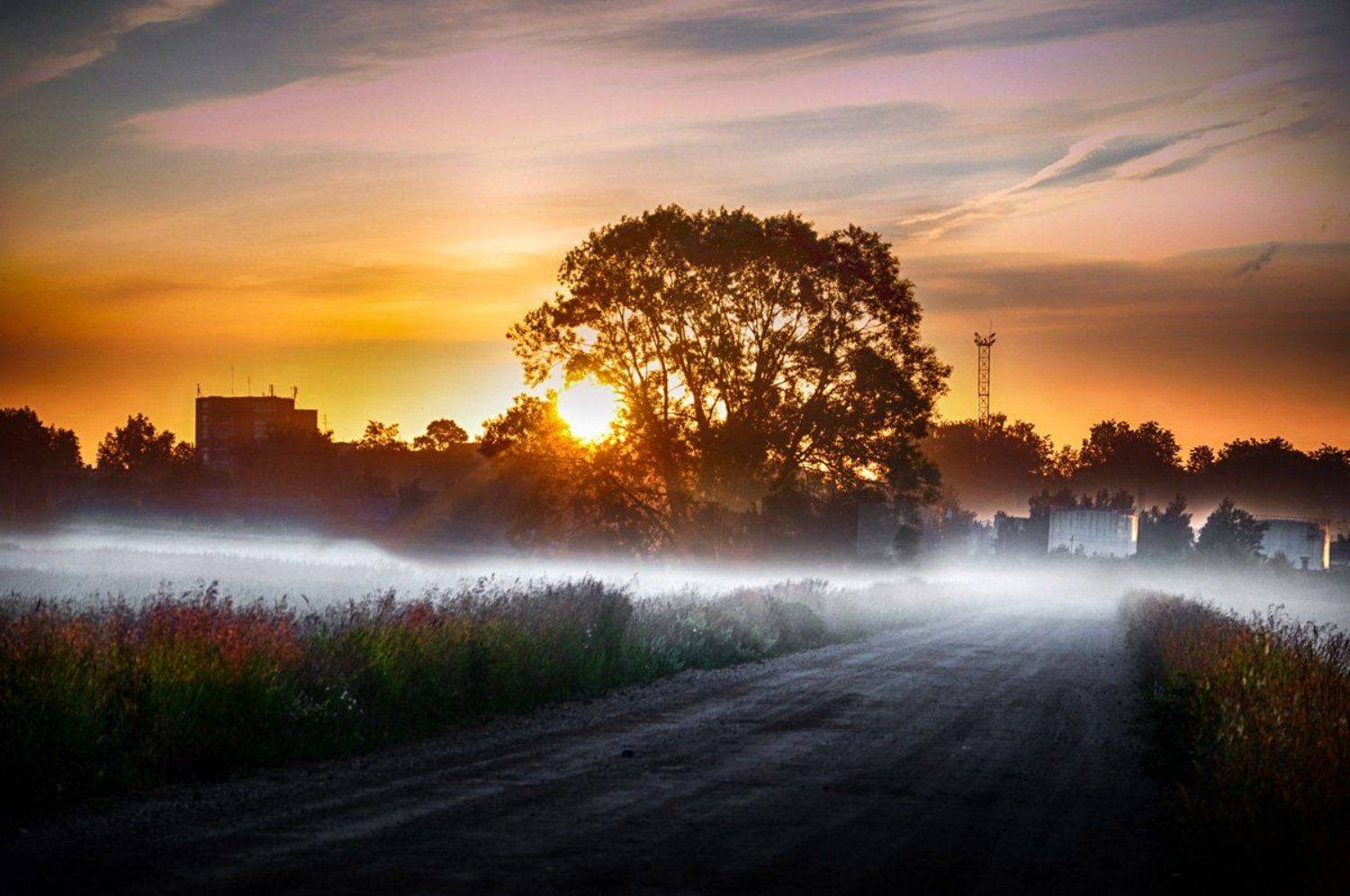 пригород, туман, утро, Rimantas Petrikas