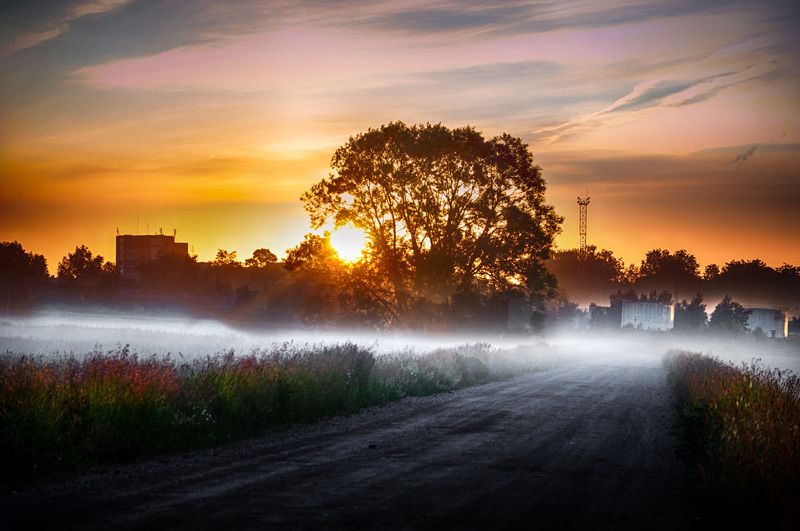 пригород, туман, утро Пригород фото превью