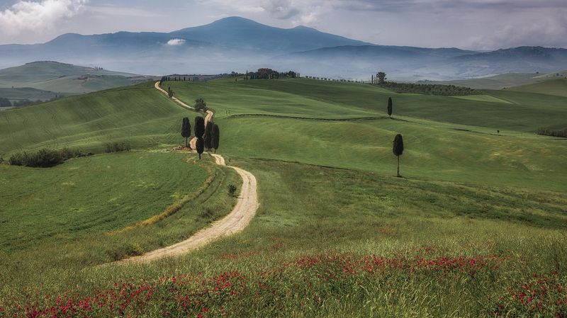 тоскана, дорога Дорога гладиатора фото превью