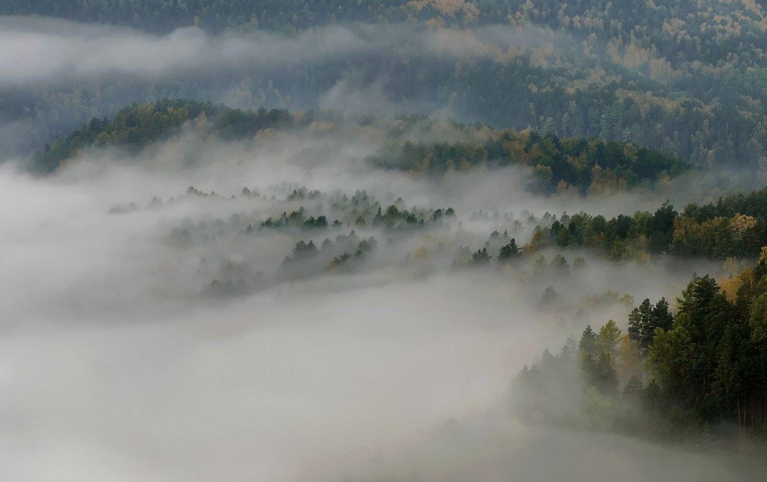 торгашинский хребет. склон. туман., Марина Фомина