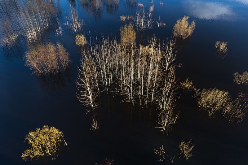 Половодье на р. Сысола в Сыктывкаре. фото превью