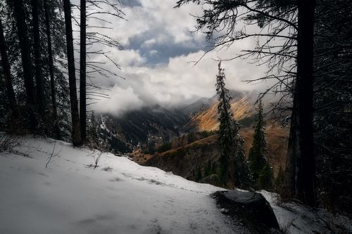 Алмаарасанское ущелье