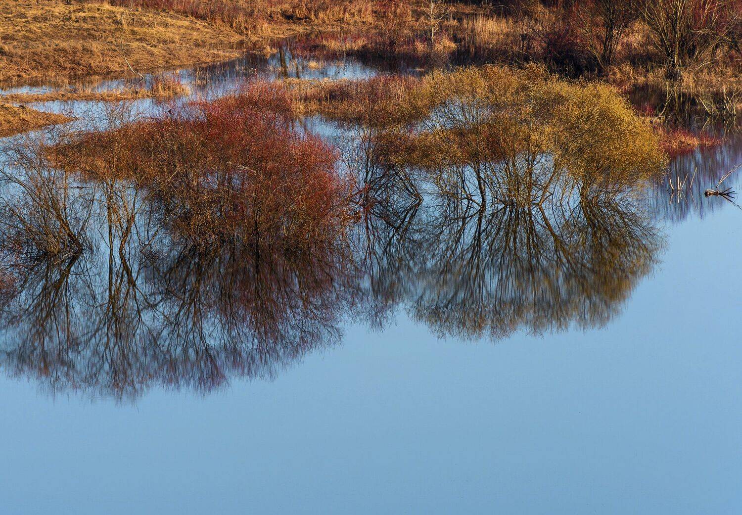 елатьма, весна, рязань, разлив, Владимир Штыриков