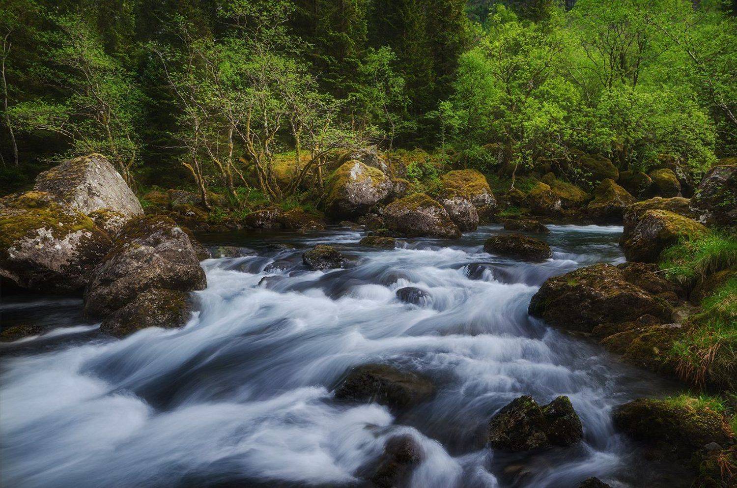 , Justinas Kondrotas