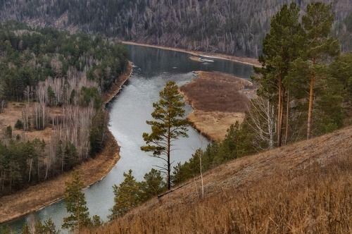Вдоль сибирской реки..