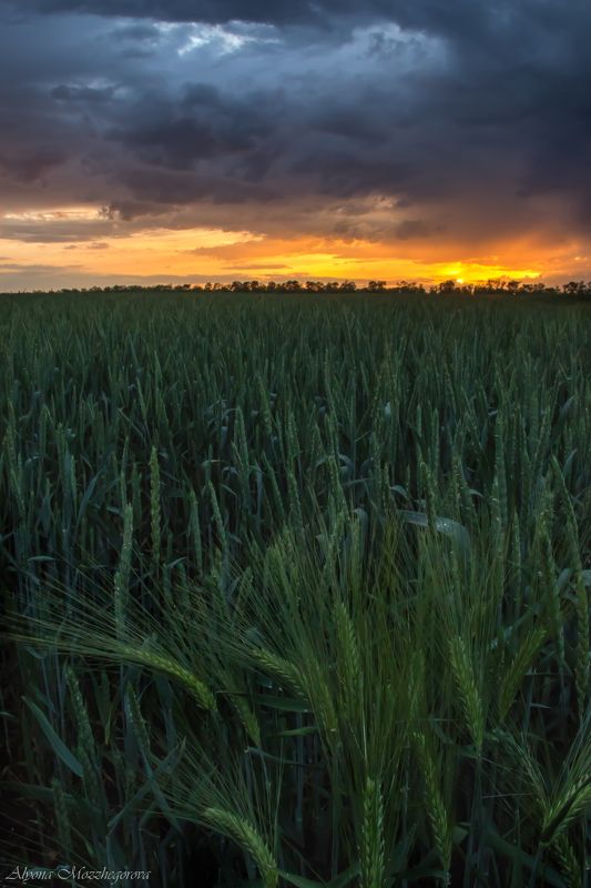 Родные просторы... фото превью