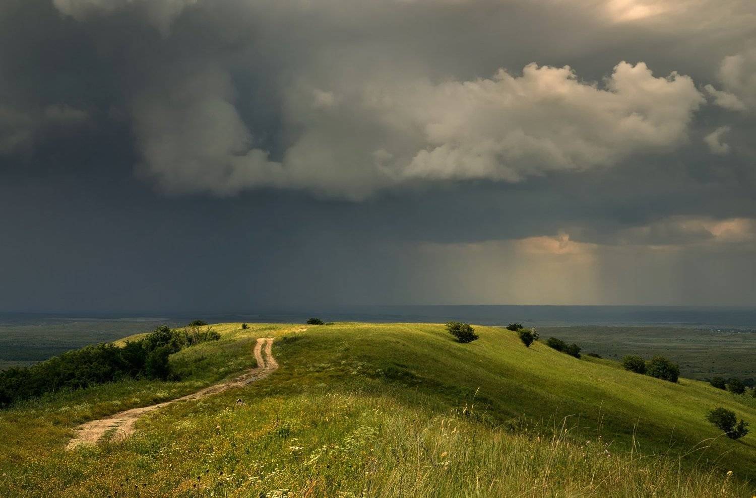 лето туча дождьдорога степь, Александр Жарников