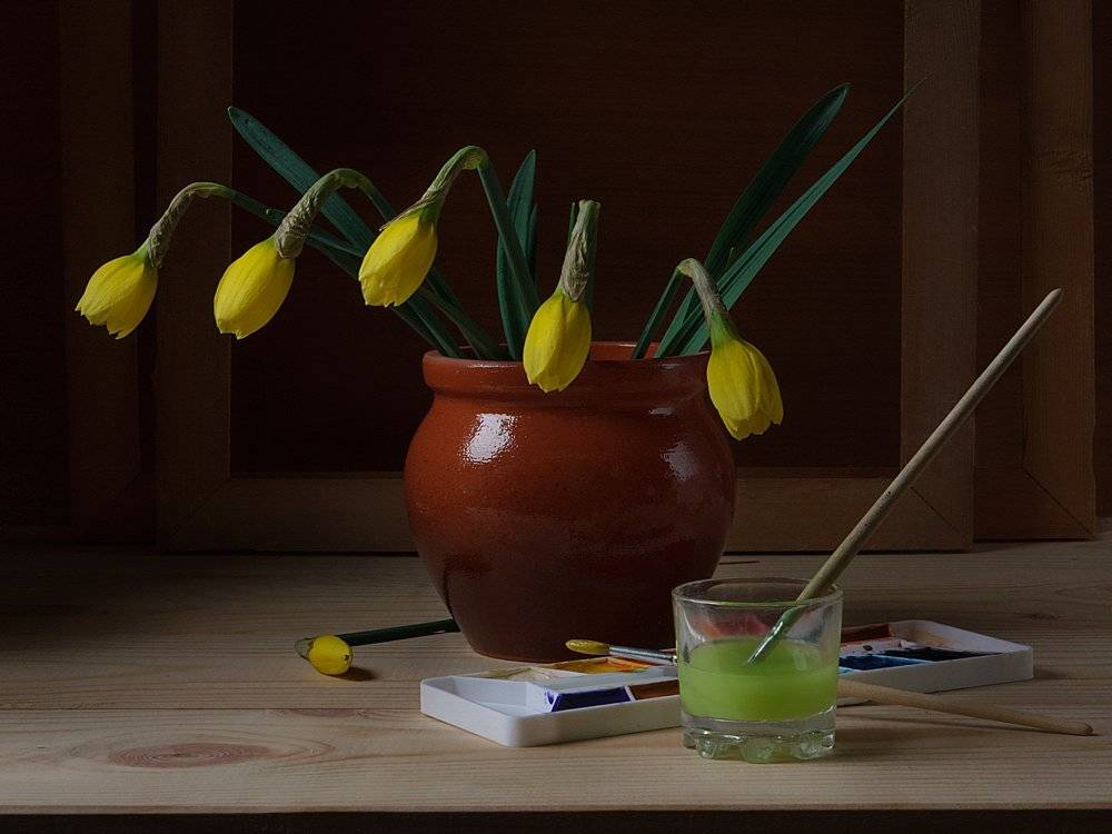 , Анжелика Королева