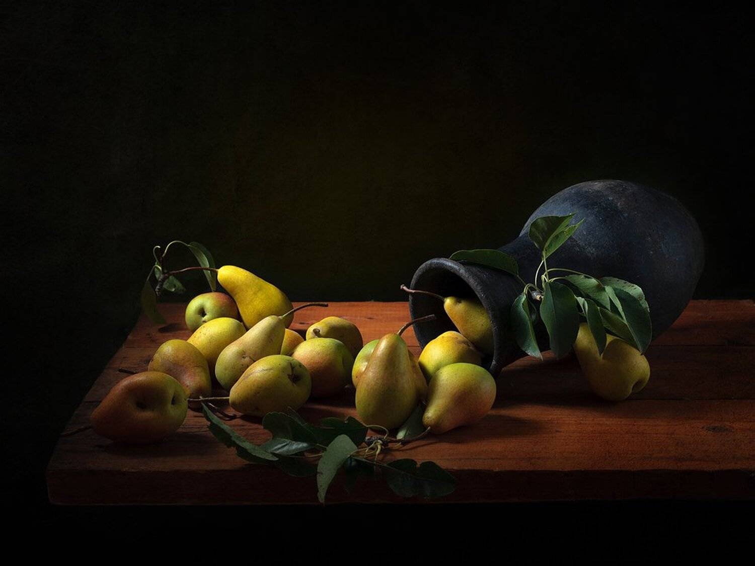 , Анжелика Королева