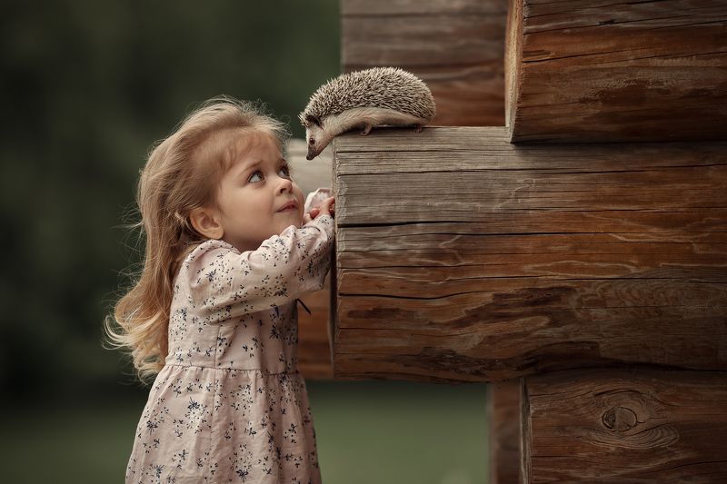 фото превью