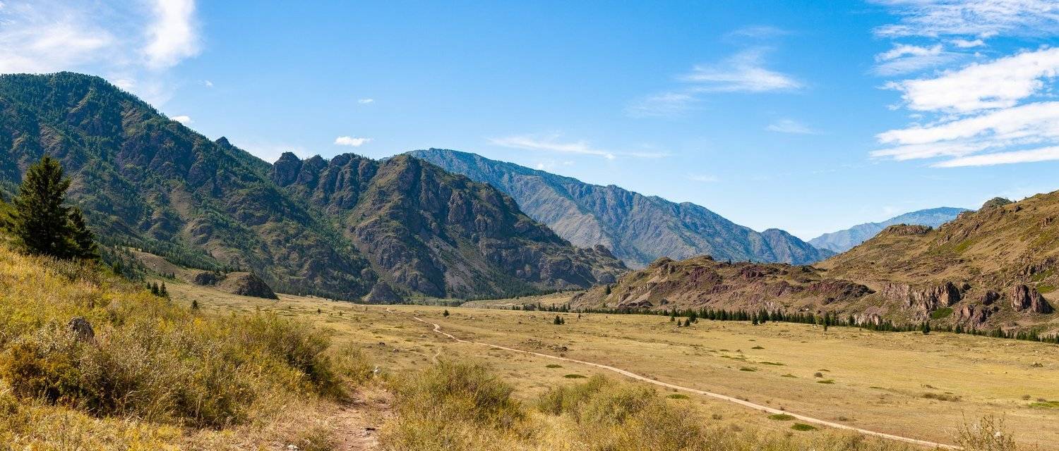 , Александр Буш