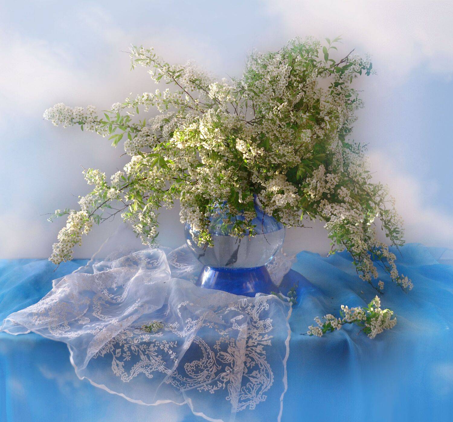 still life,натюрморт, цветы, фото натюрморт, спирея, май, весна, Колова Валентина