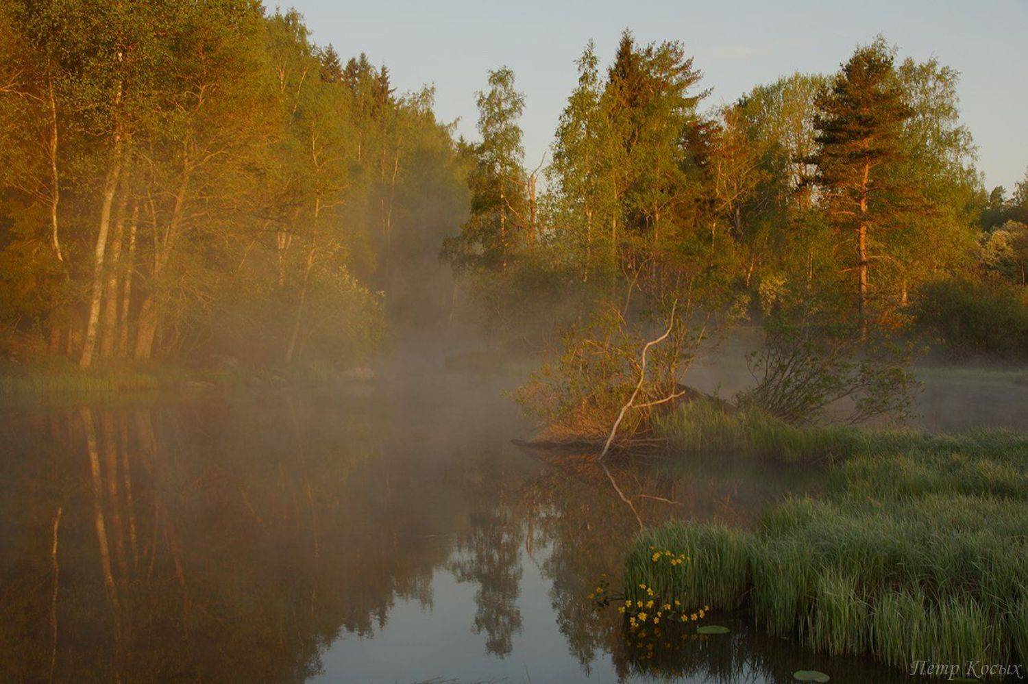 , Петр Косых