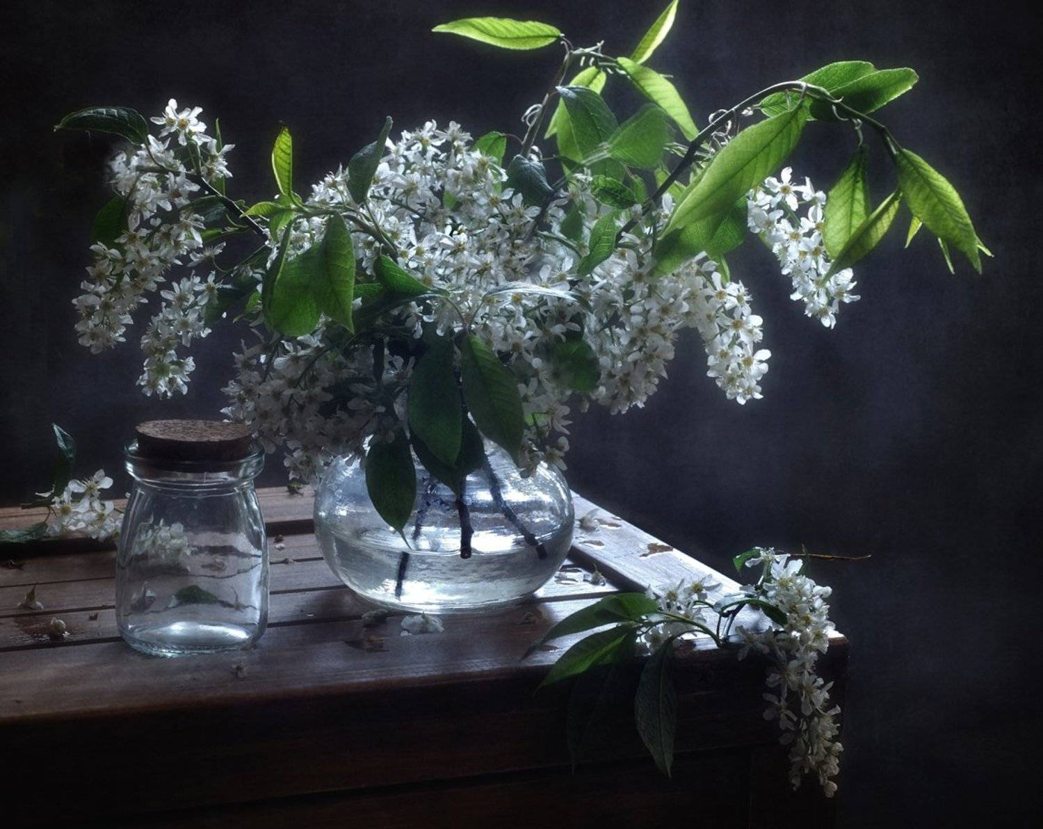 натюрморт,черемуха,весна, Наталия К