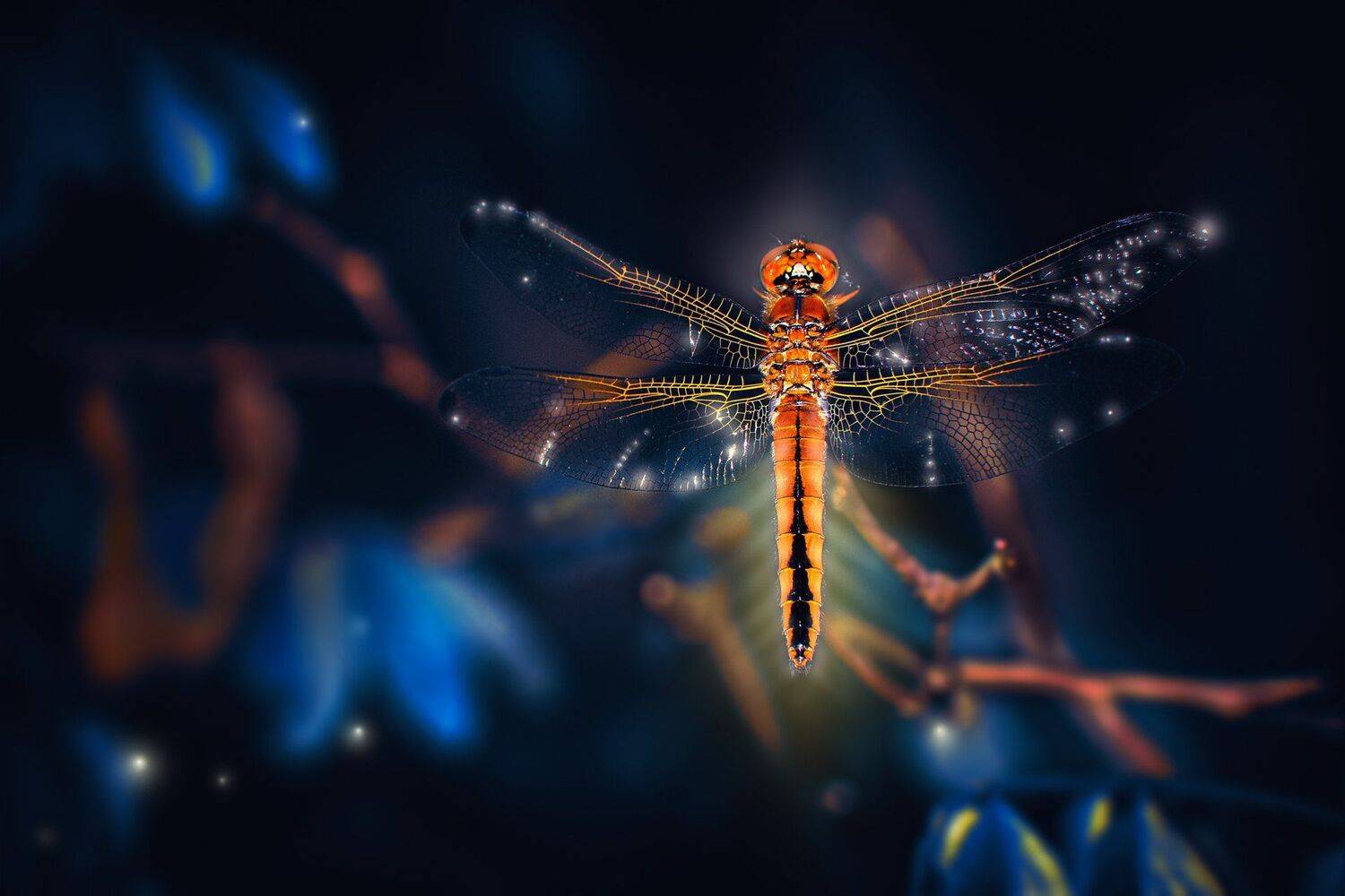 жук,желтый,лист,зелень,свет,насекомое,красный,шмель, Юрий Котов