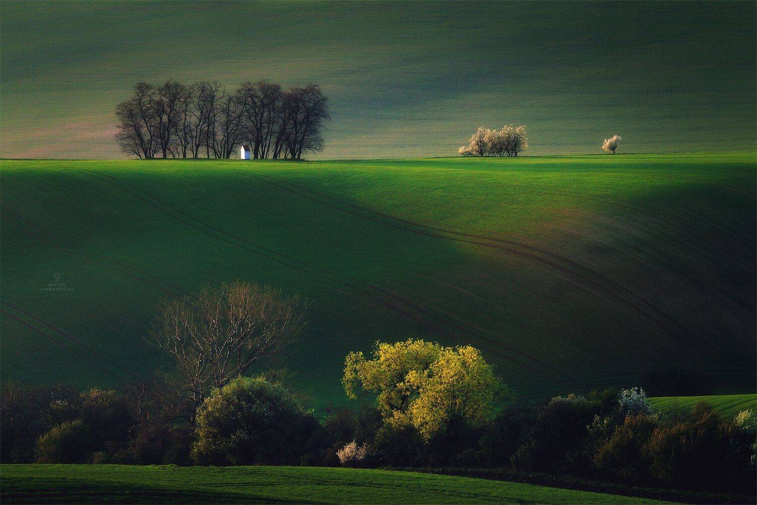 , Дмитрий Купрацевич