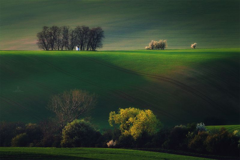 Света и тени полей Моравии фото превью