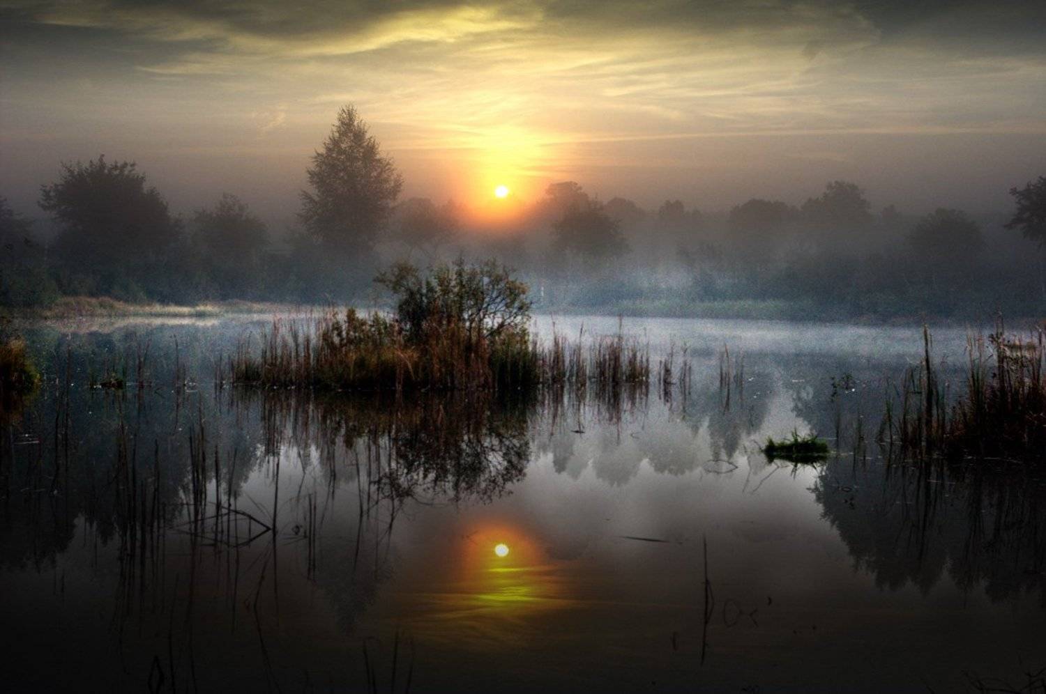 утро, туман, вода, размышления, природа, Rimantas Petrikas