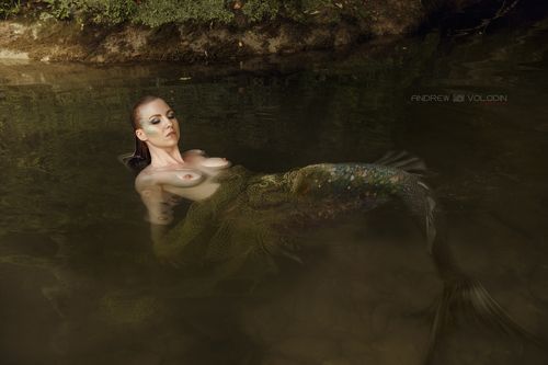 В тихом омуте ...