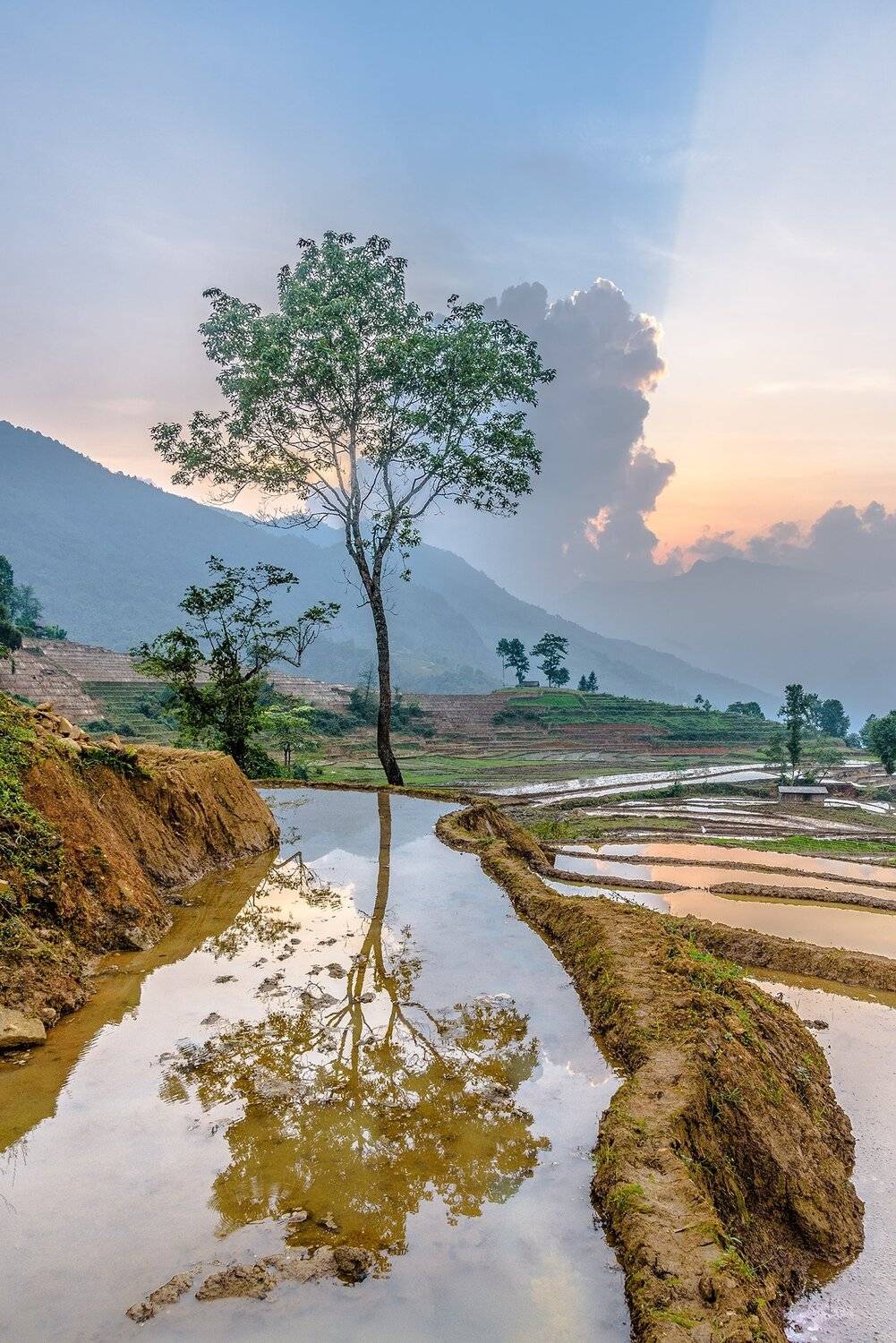 , Trần Ko&oacute;ng