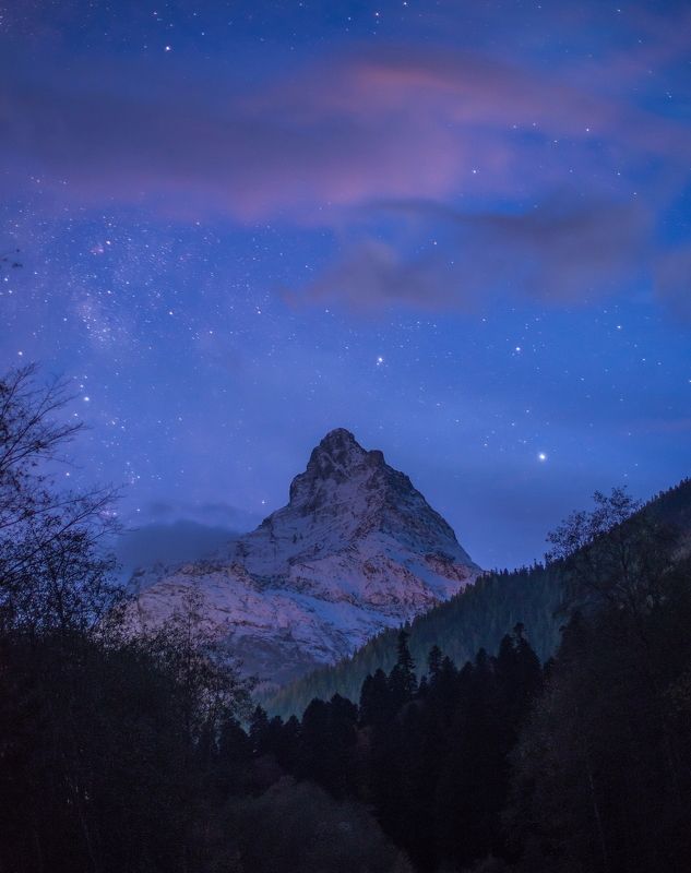 СПЯЩАЯ КРАСАВИЦА БЕЛАЛАКАЯ фото превью