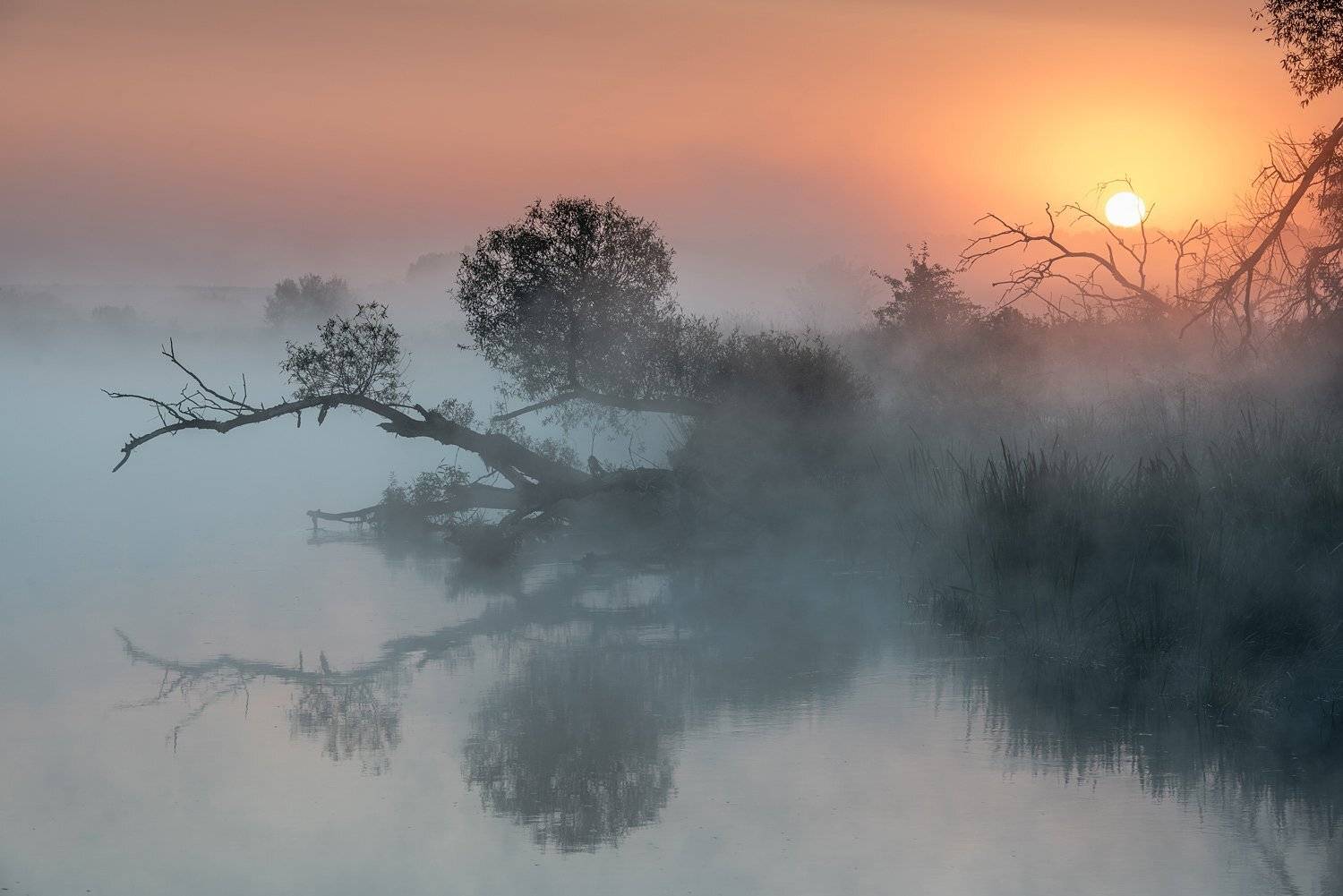 восход,туман,солнце, Андрей Cоколов