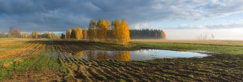 Утро в осеннем поле