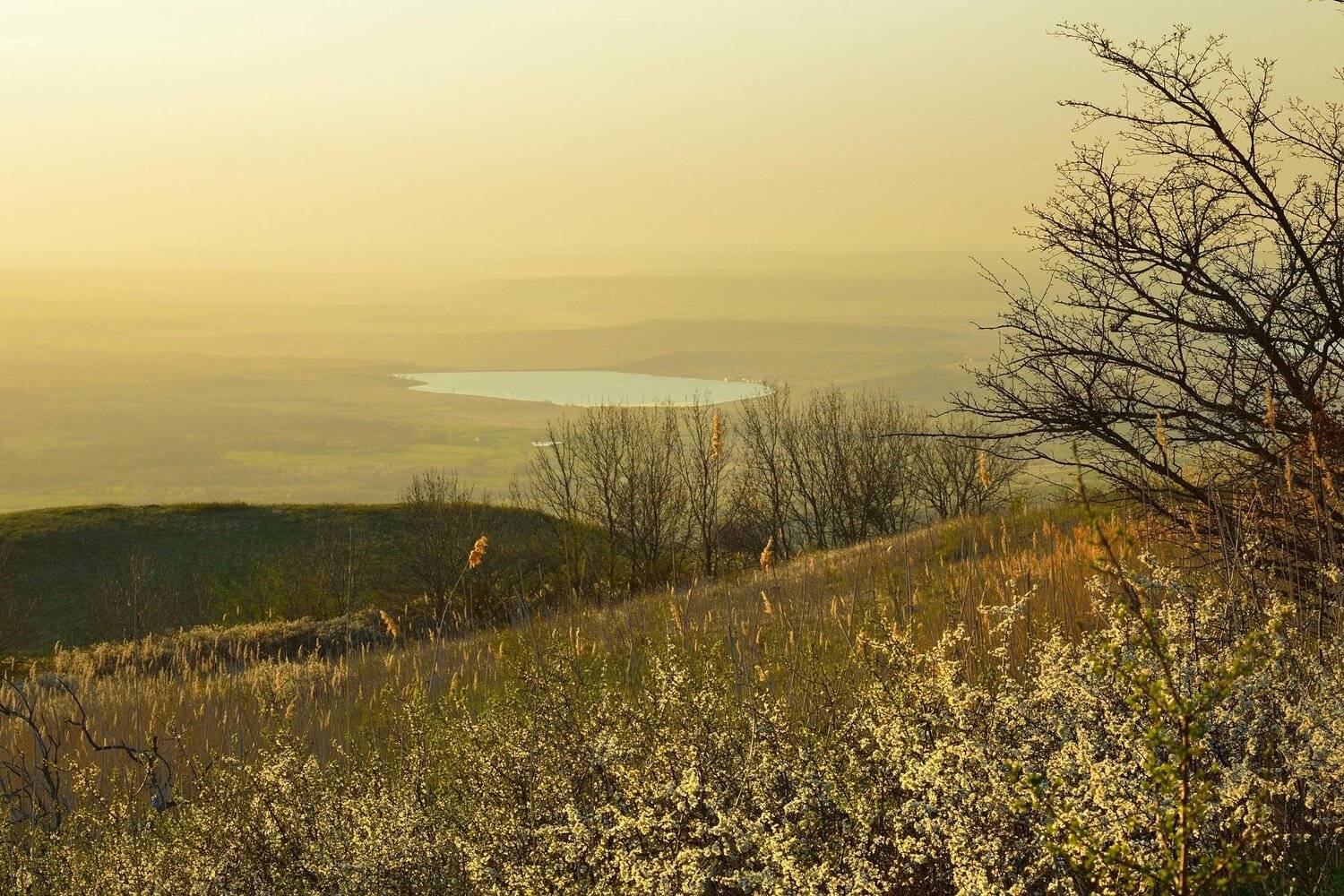 , Александр Жарников
