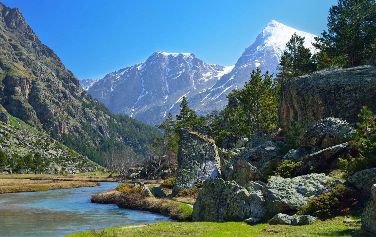 узункол, Александр Жарников