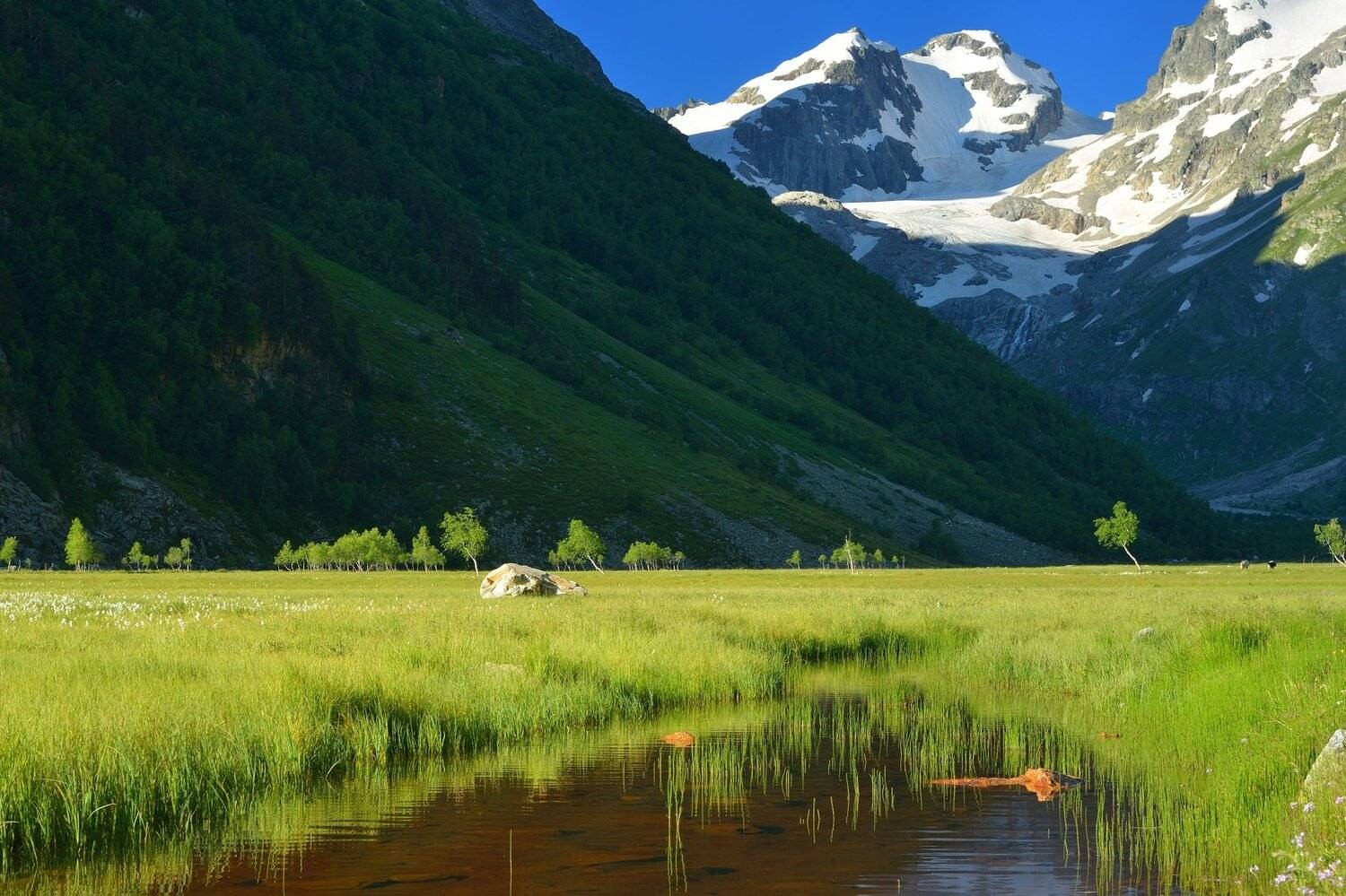 долина мырды, Александр Жарников