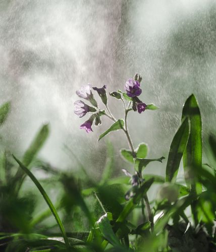 Космос под ногами